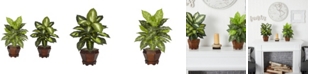 Nearly Natural Dieffenbachia w/Wood Vase Silk Plant, Set of 2